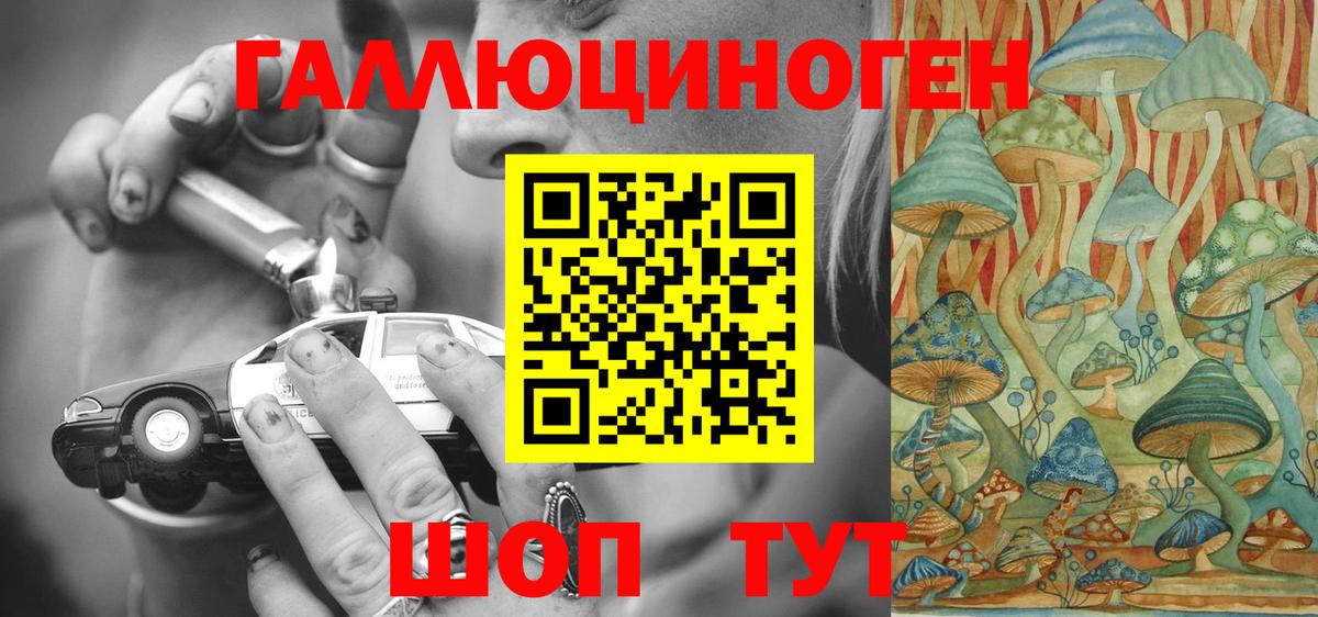 Галлюциногенные грибы Psilocybine cubensis  Вход с VPN  Братск 